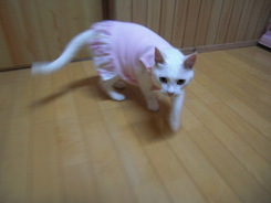 プリンセスちゃんヨロシクね~~