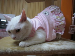 プリンセスちゃんヨロシクね~~