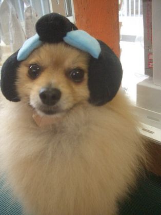 急ぎ・・・・
