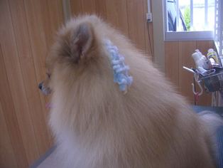 急ぎ・・・・