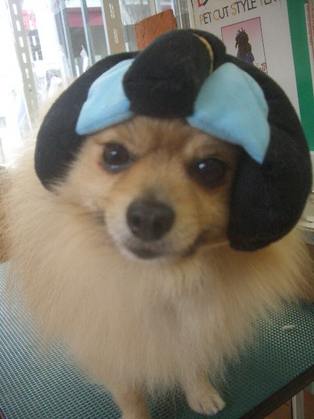 急ぎ・・・・