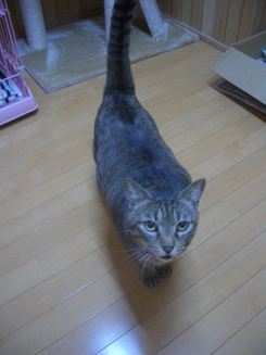 おはようマディー君