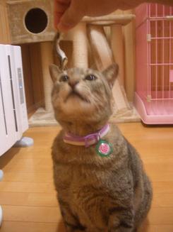 やった~~~(^^)/