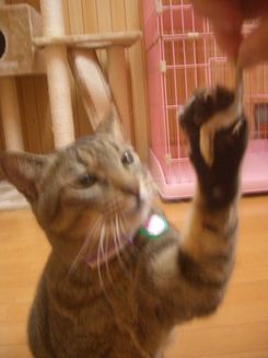 やった~~~(^^)/