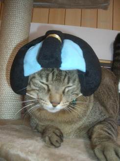ダンディーなマディー