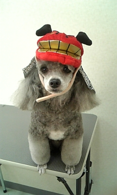 ツウワン一緒に