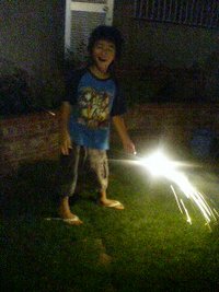 7月27日の記事 2008/07/27 20:33:07