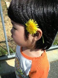 お散歩:*:・( ̄∀ ̄)・:*: