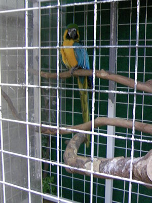ミニミニ動物園~その2