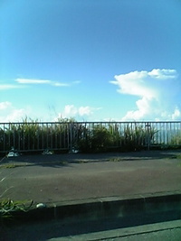 海岸通は気持ちイィ〜♪ 2008/07/04 07:26:15