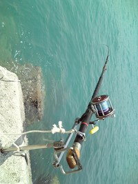 底物狙い 2008/04/27 21:24:53