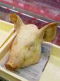 沖縄の言葉 あが!!