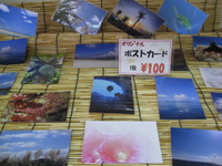 新商品紹介