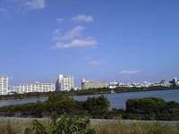 漫湖公園 2007/01/16 10:00:00