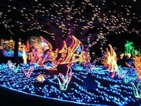 東南植物楽園のイルミネーション 2006/12/26 22:51:16