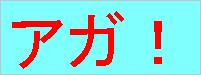 久々の週末バド