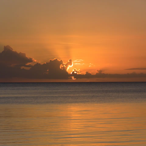 夕日