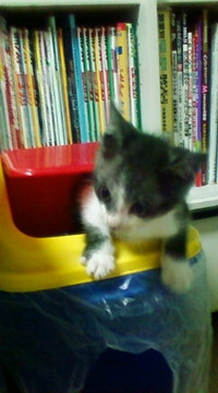外出中です 2008/06/10 19:49:15