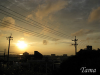 夕日 2008/05/30 13:49:16