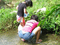 水遊び。 2008/05/25 22:13:54
