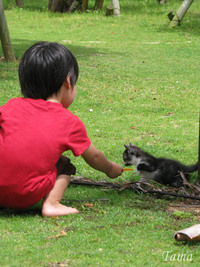 惨敗。 2008/06/01 18:11:42
