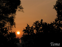 大阪の夕日。 2008/06/10 14:32:59