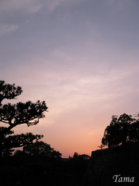 旅立ち。 2008/06/13 20:11:26
