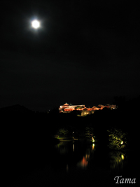 十六夜 2008/06/19 23:23:07