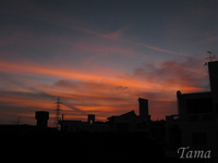 夕焼け。 2008/06/29 22:21:17