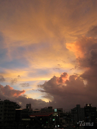 すごい空ですね～。 2008/07/16 19:59:29