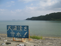 人魚の住む海を。。。