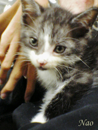 朗報。 2008/06/05 17:03:15