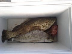 5月15日・・・筏釣り