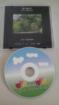 蝉の鳴き声CD 2008/07/07 11:12:30