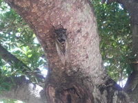 おはようございます♪ 2008/07/25 08:56:43