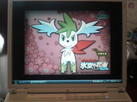 シェイミ 2008/07/24 14:01:23