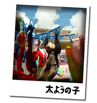 太ようの子 2010/08/17 14:33:34