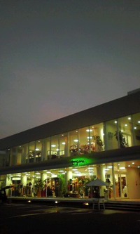 淡い夕焼けに染まってます 2010/08/11 19:22:01