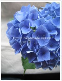 2009年06月25日