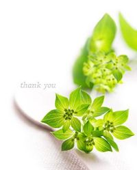 2011年12月31日
