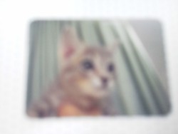 別れは突然やってくる