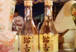 週末回遊記