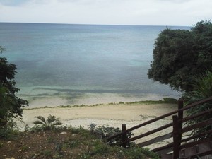 湿気の野郎・・・(泣)