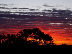 Uncertain Sky