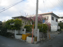 豊見城市字座安