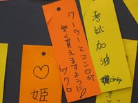 七夕 2008/07/06 18:55:02