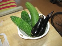 野菜 2008/07/04 20:41:28