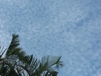 青空 2008/08/30 17:12:57