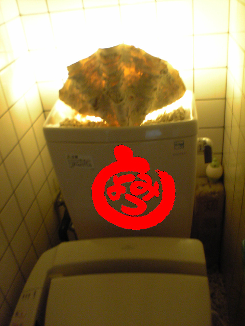 2006030902.JPG