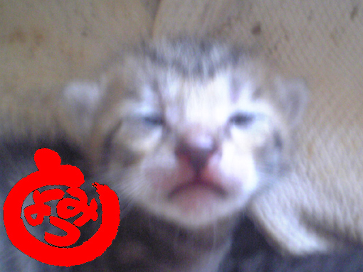 2006053108.JPG